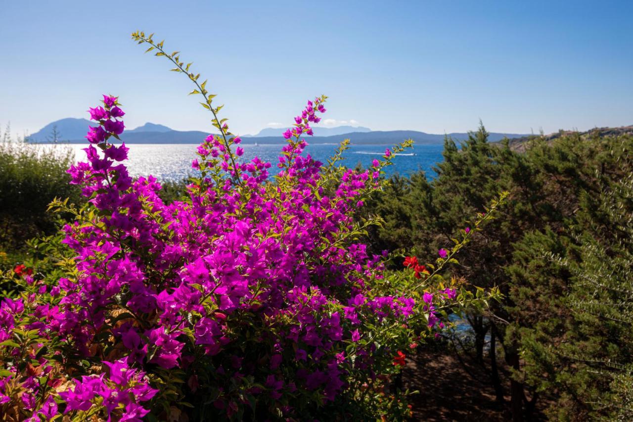 Splendido Appartamento Vista Mare Porto Rotondo Luaran gambar